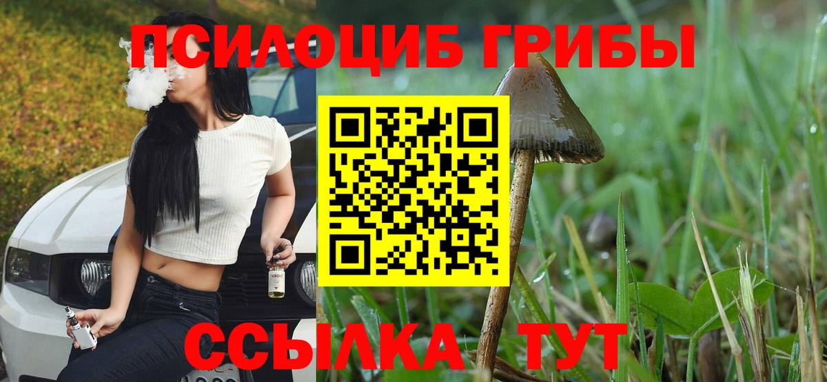 Ишимбай  Псилоцибиновые грибы Psilocybe  магазин продажи   Галлюциногенные грибы прущие грибы  Вход с VPN 